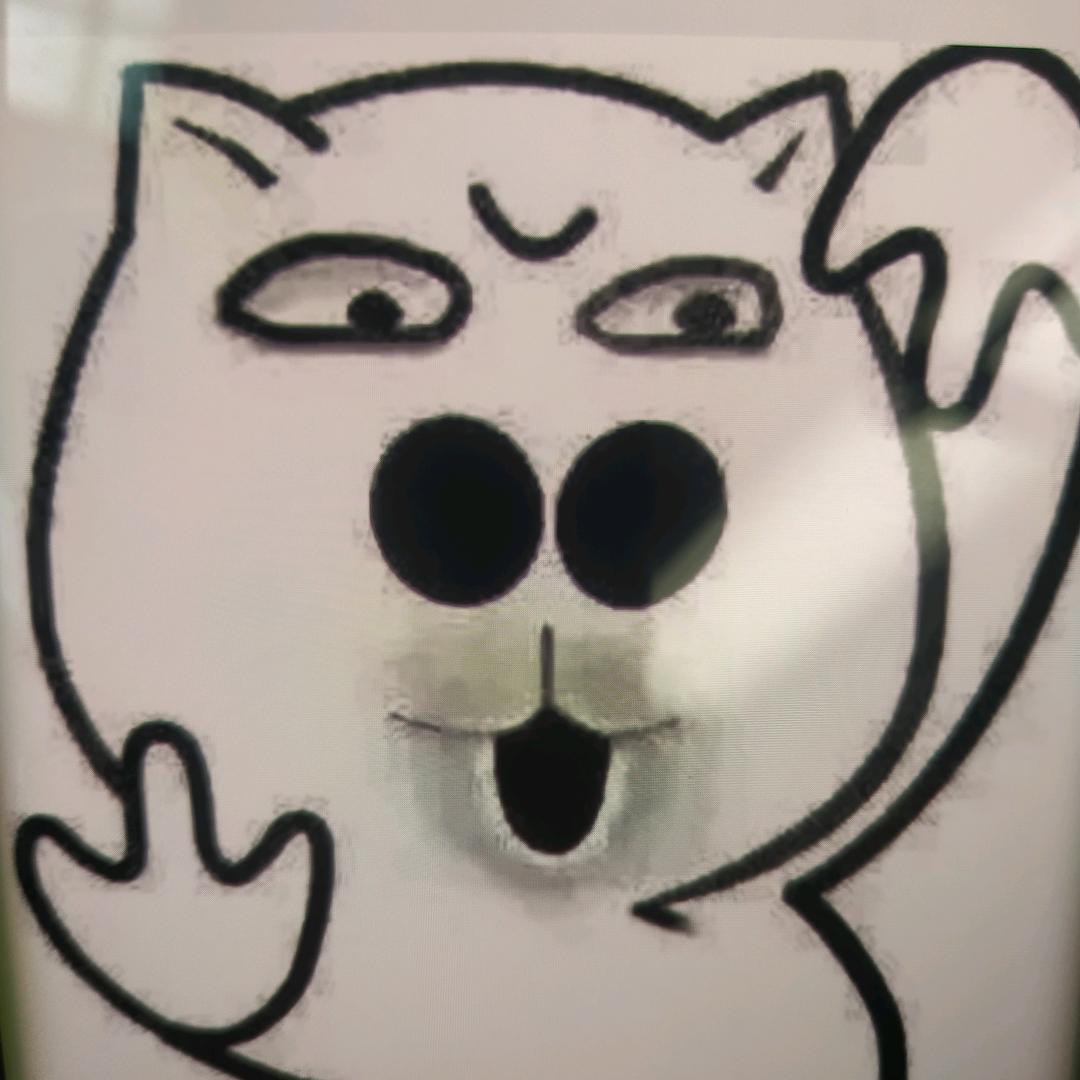 喜欢猫的老鼠