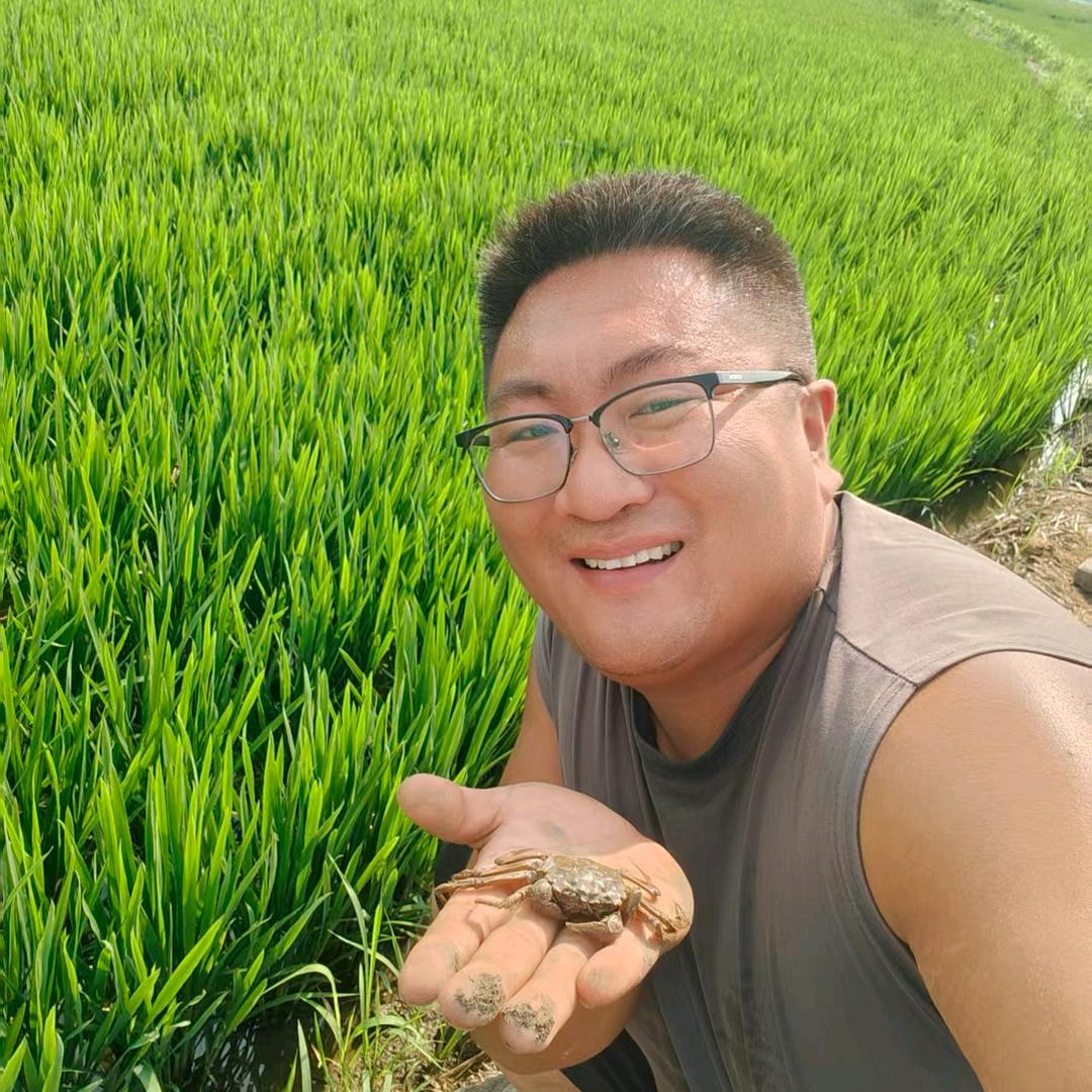 盘锦河蟹【大迪河蟹】