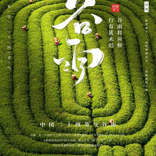 梦之源   芳芳😍