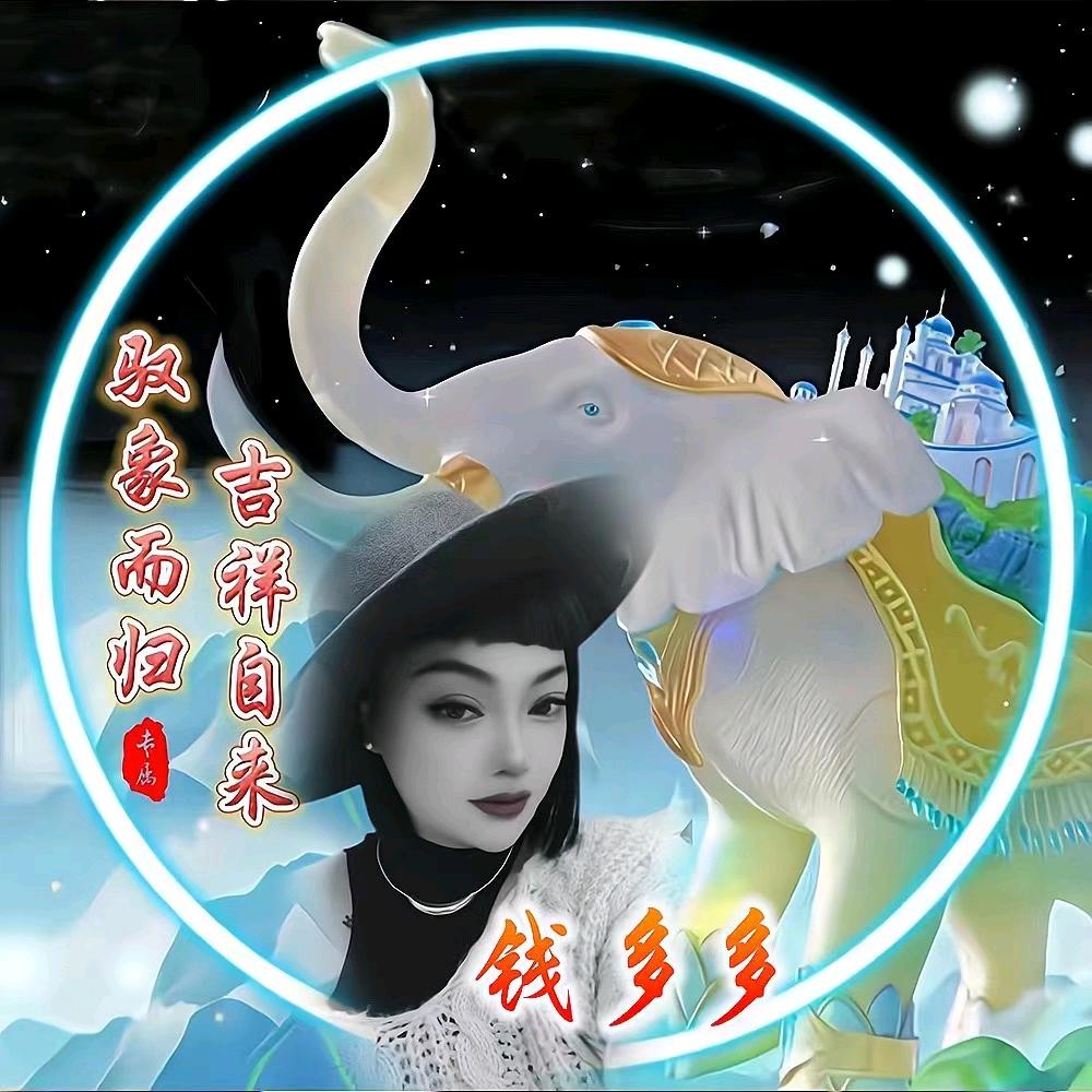 💰💰💰钱多多