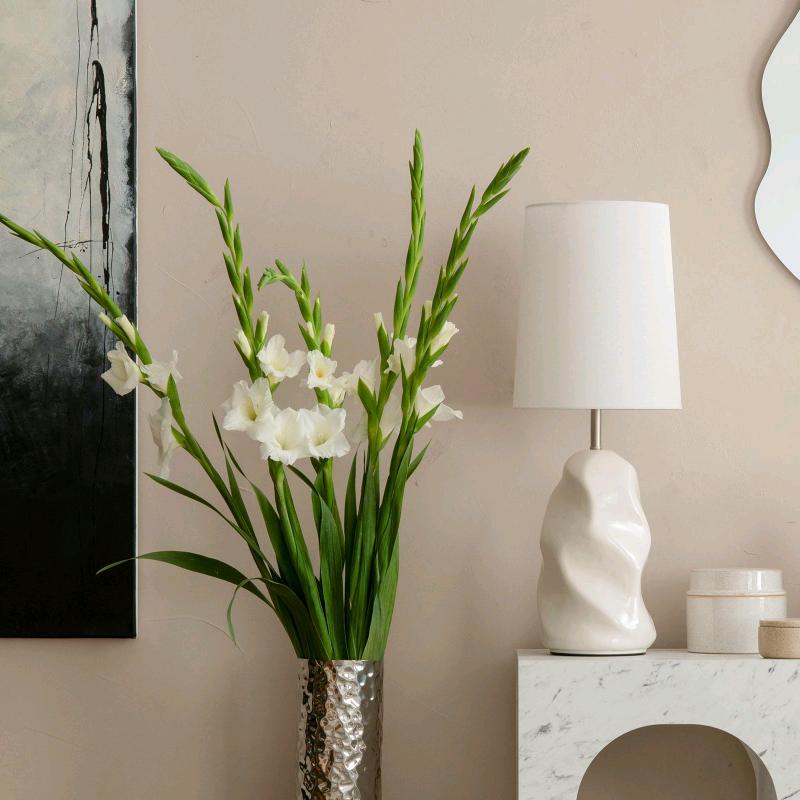 无忧花(｢･ω･)｢嘿