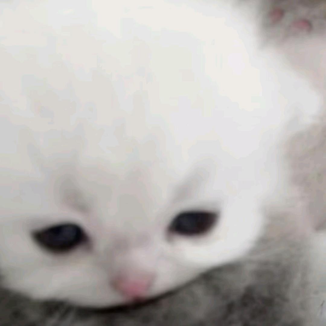 yuwwou