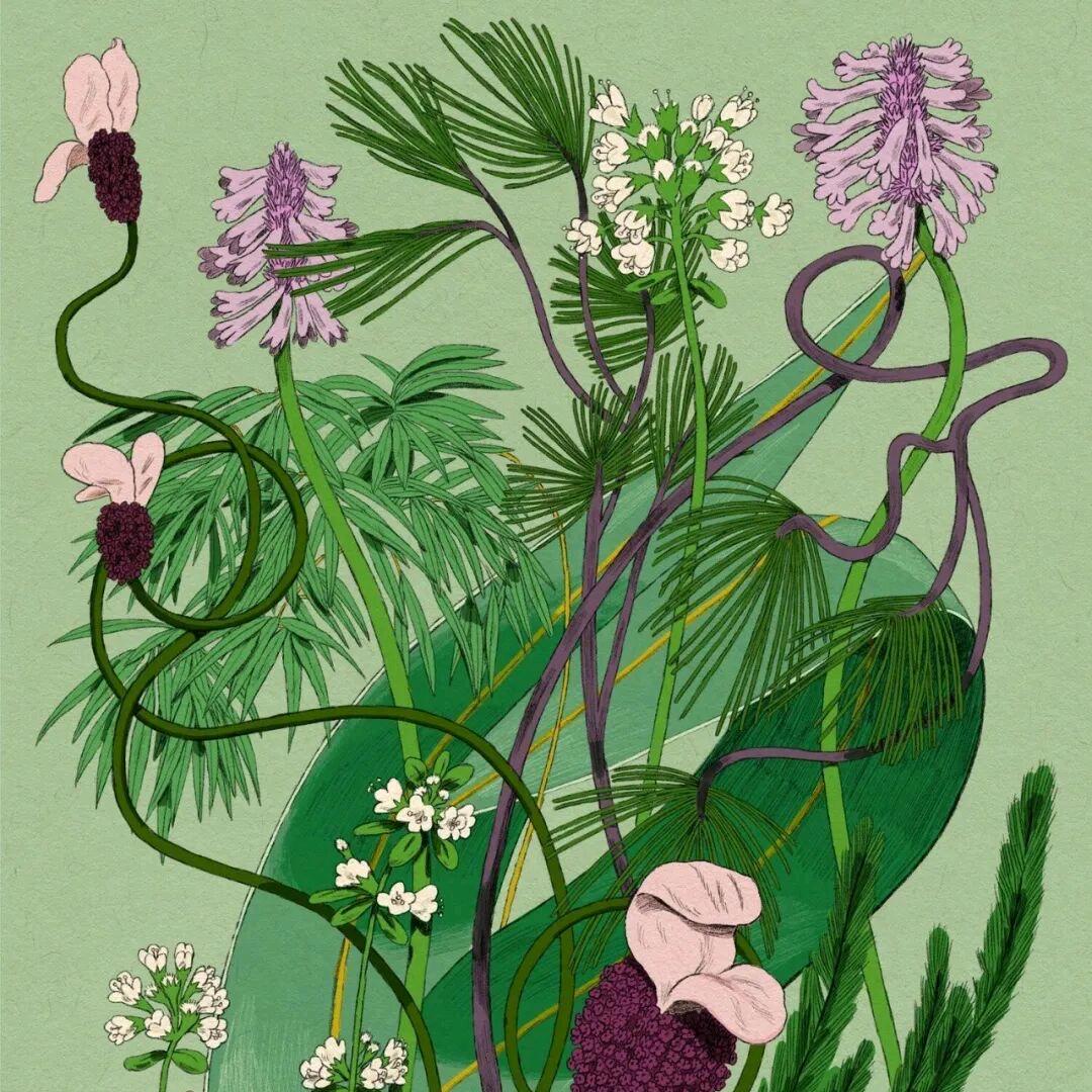 夏图艺术培训中心