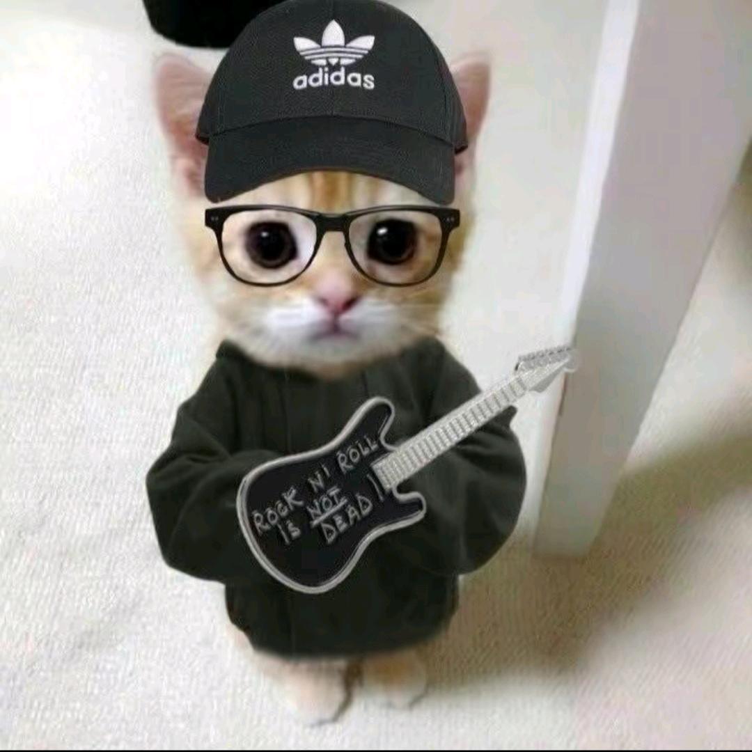 鱼的耳机🎧