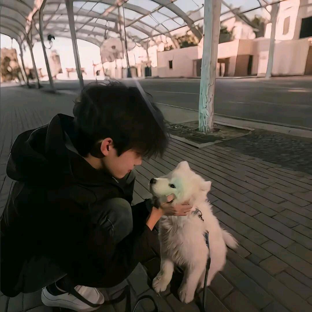 不想再吃洋葱
