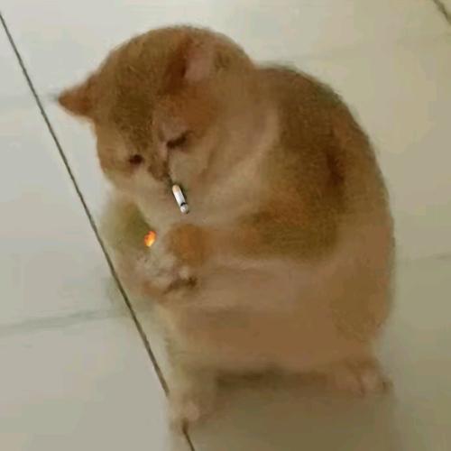 荆然如此有实力