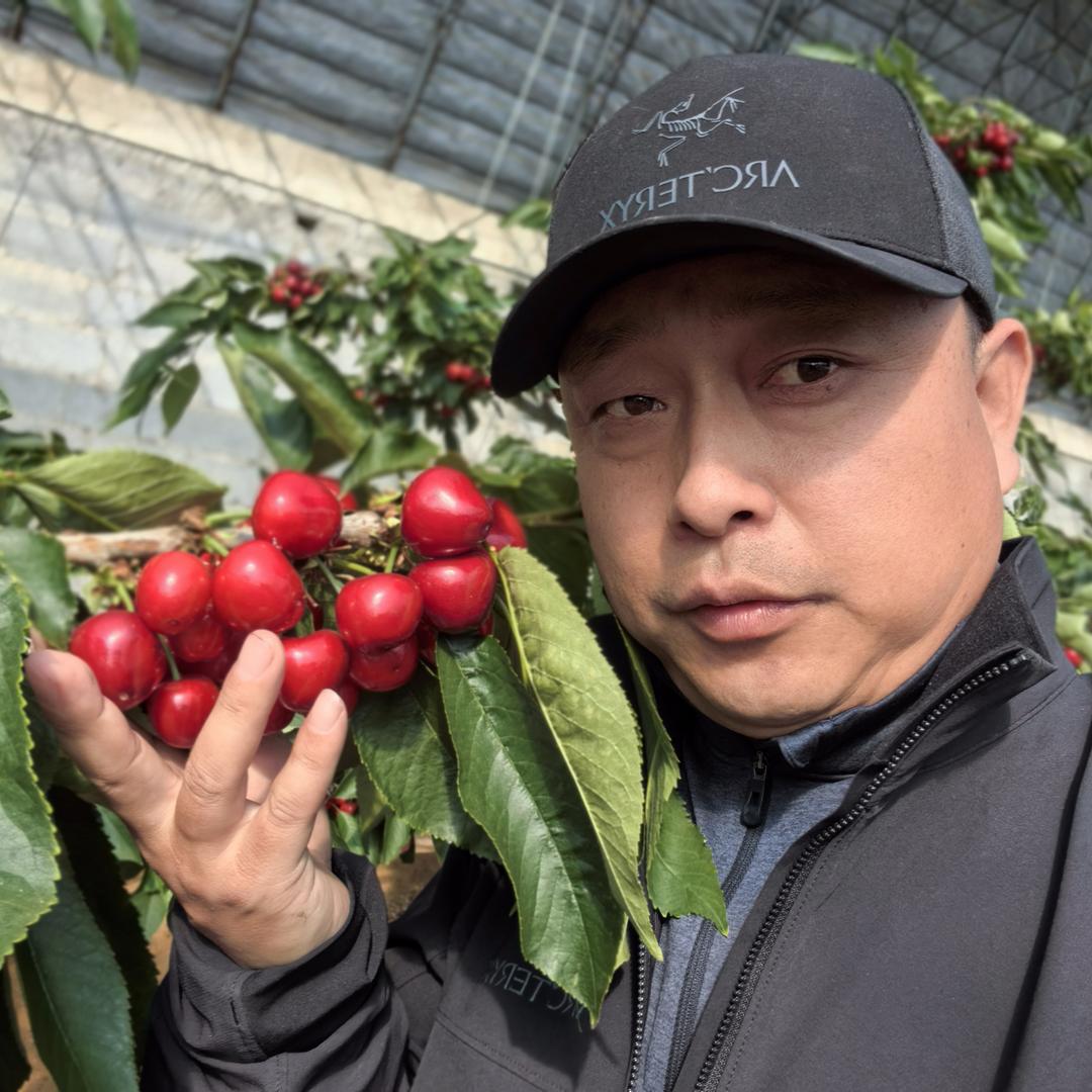 樱桃王子俄罗斯八号