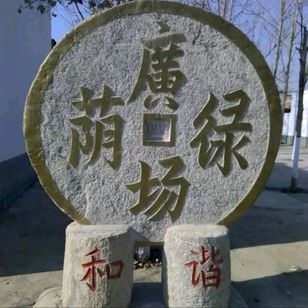 🎶時光安然