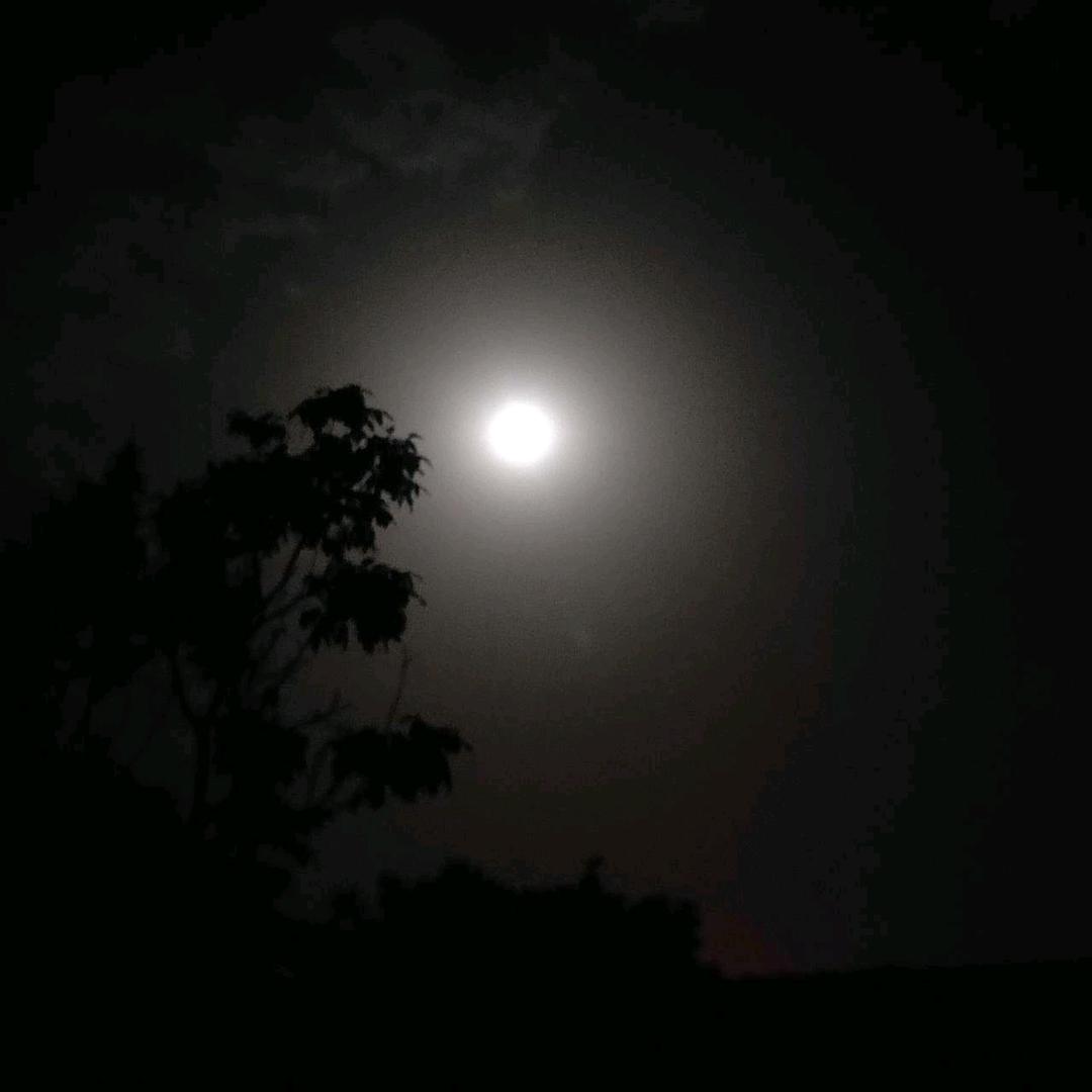 曾经沧海难为水