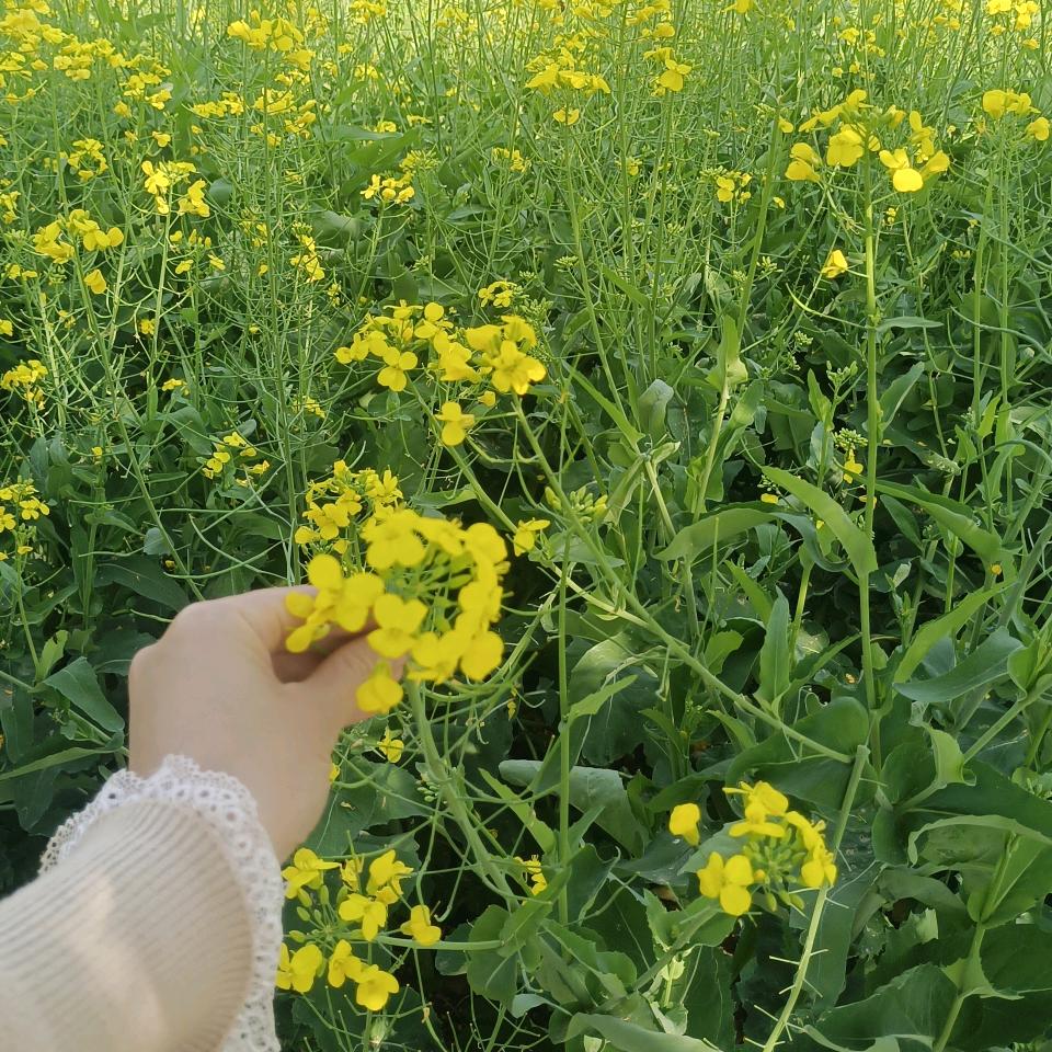 @八月