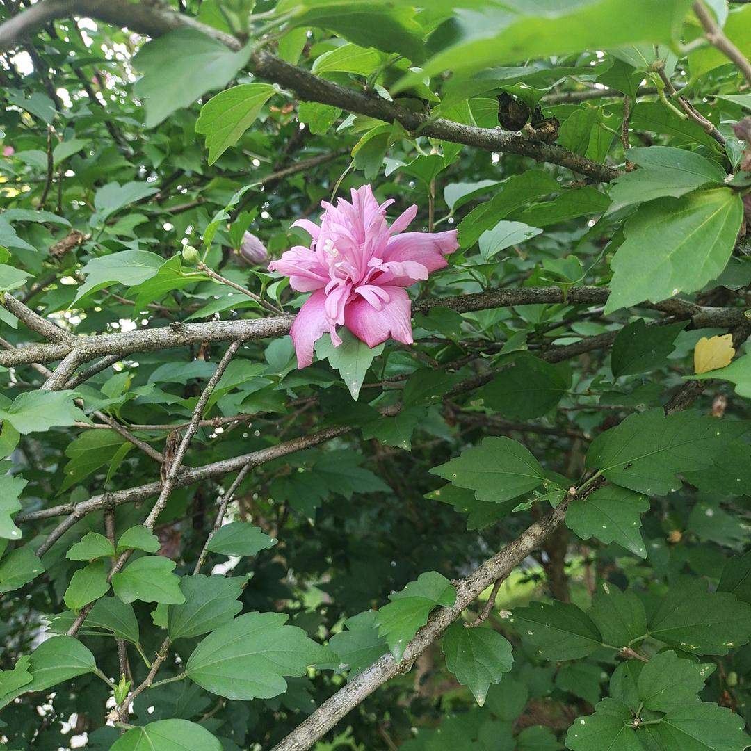 学会爱自己11