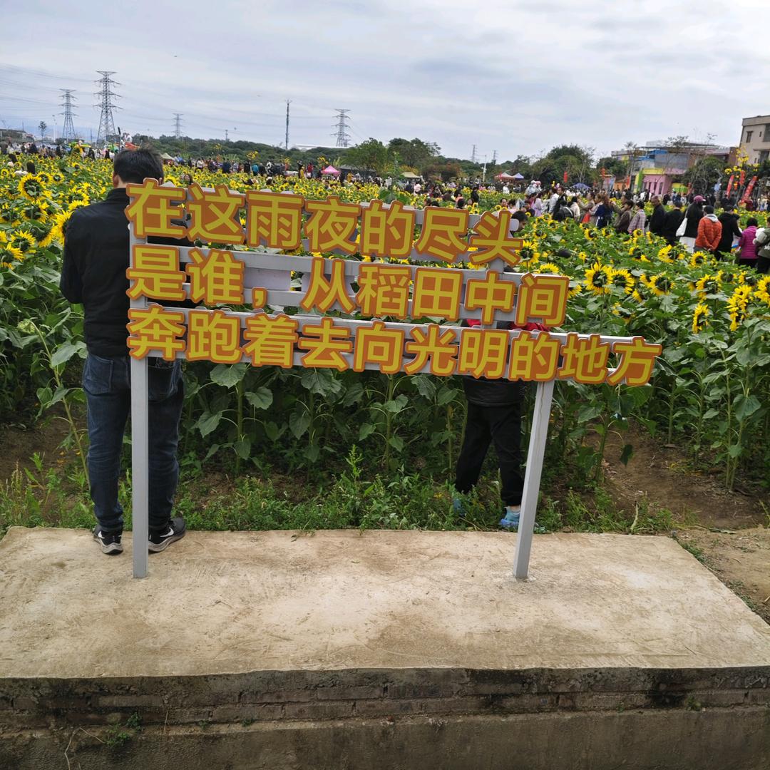 飞飞^O^