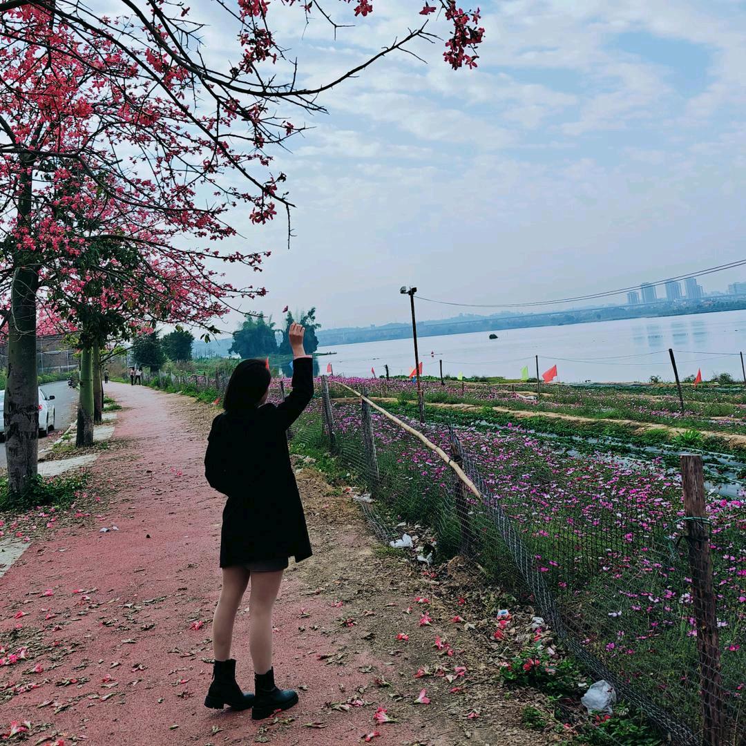 小敏姐