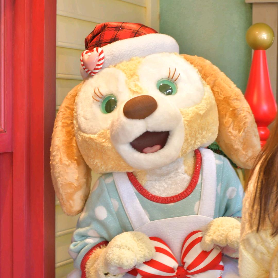 一生要强的美女