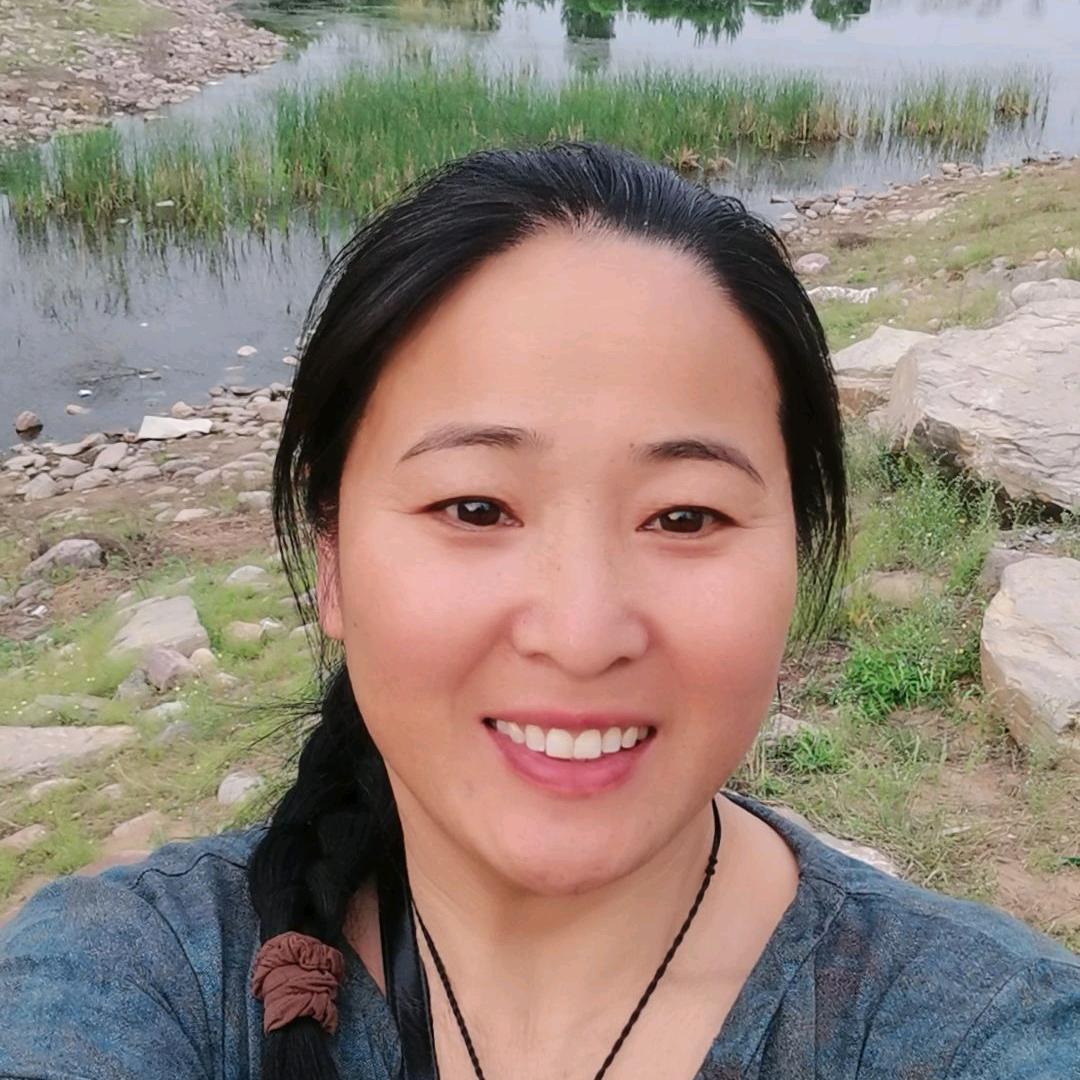 河南特产道口烧鸡