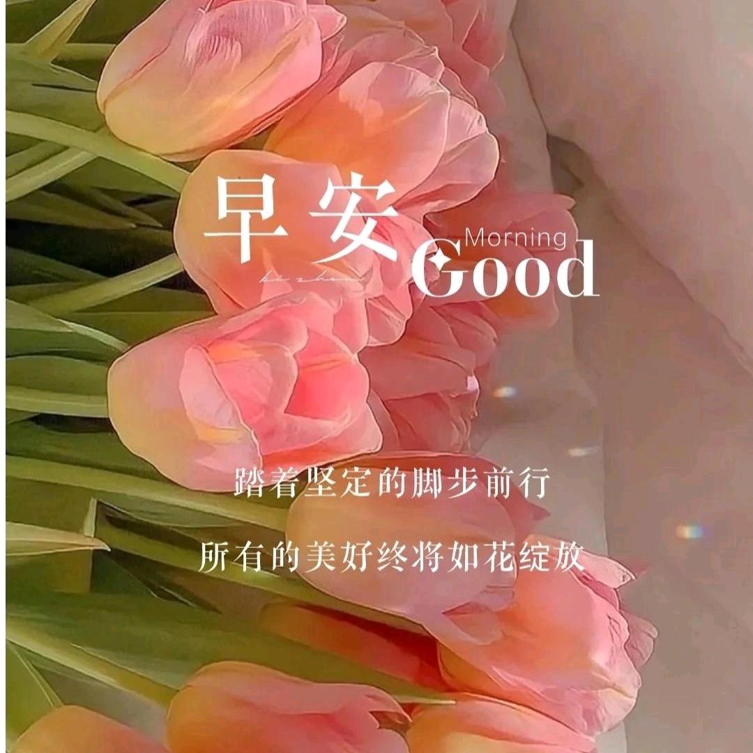 🌸乘风破浪🌸