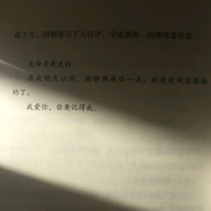淡忘回忆起你z