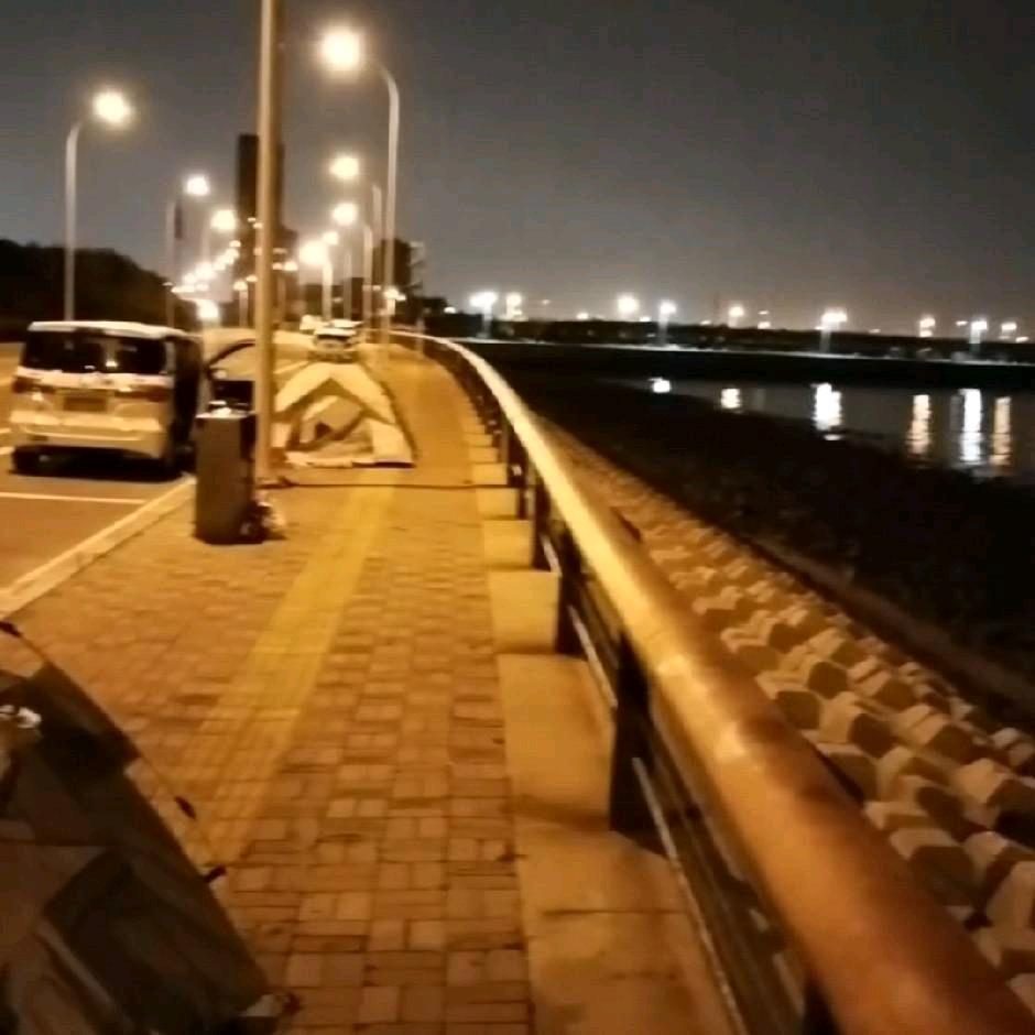 └（仰望星空）┐