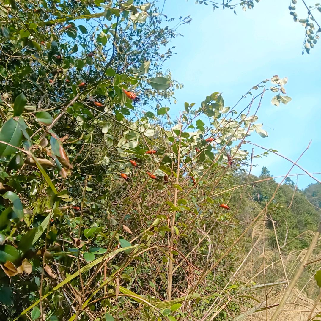 靠山会倒靠人会跑