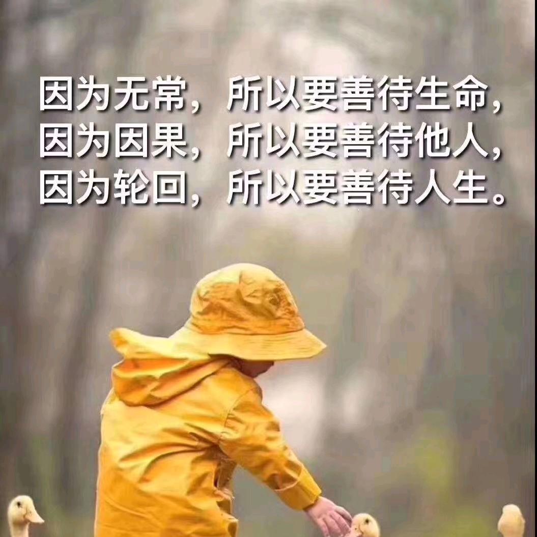 就是玩
