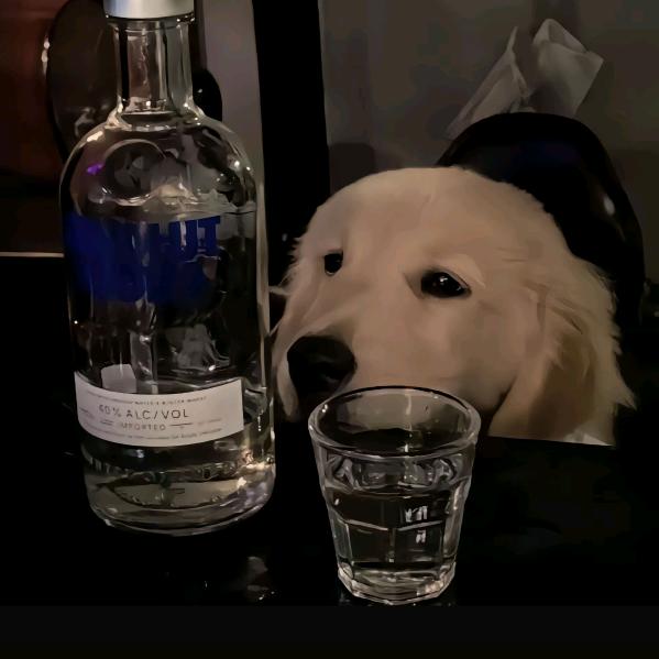 影帝