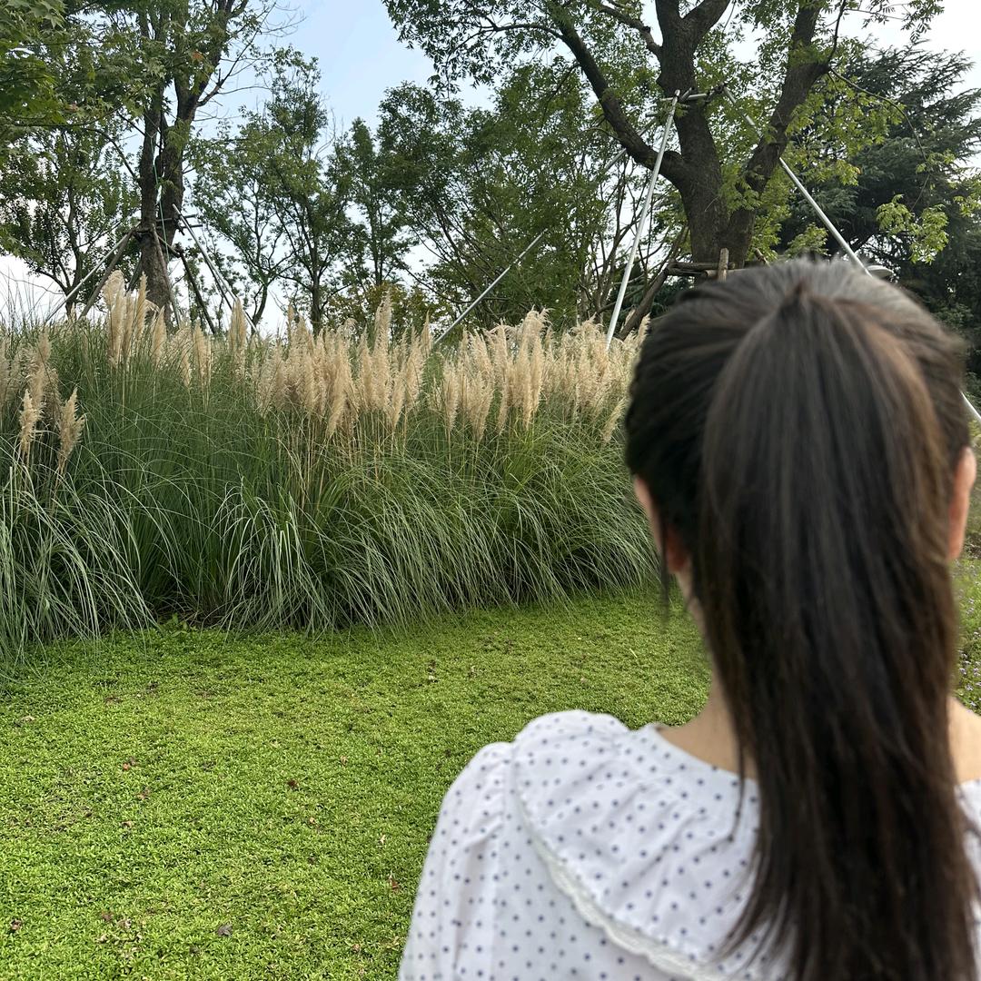 夏未凉🎶