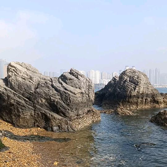 WW沧海桑田