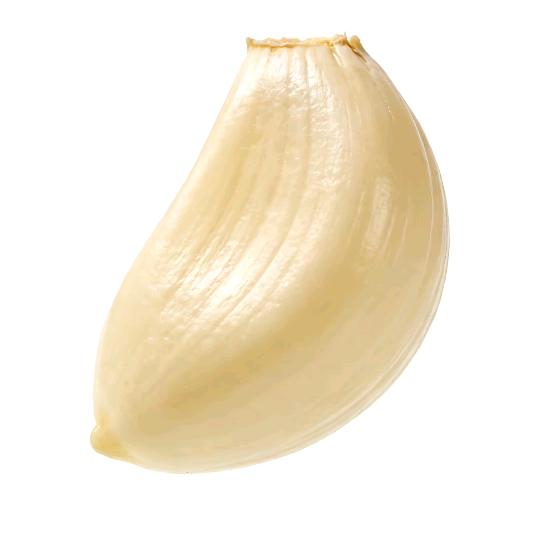 与你片刻欢愉