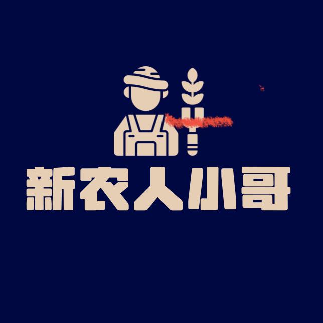 新农人小哥