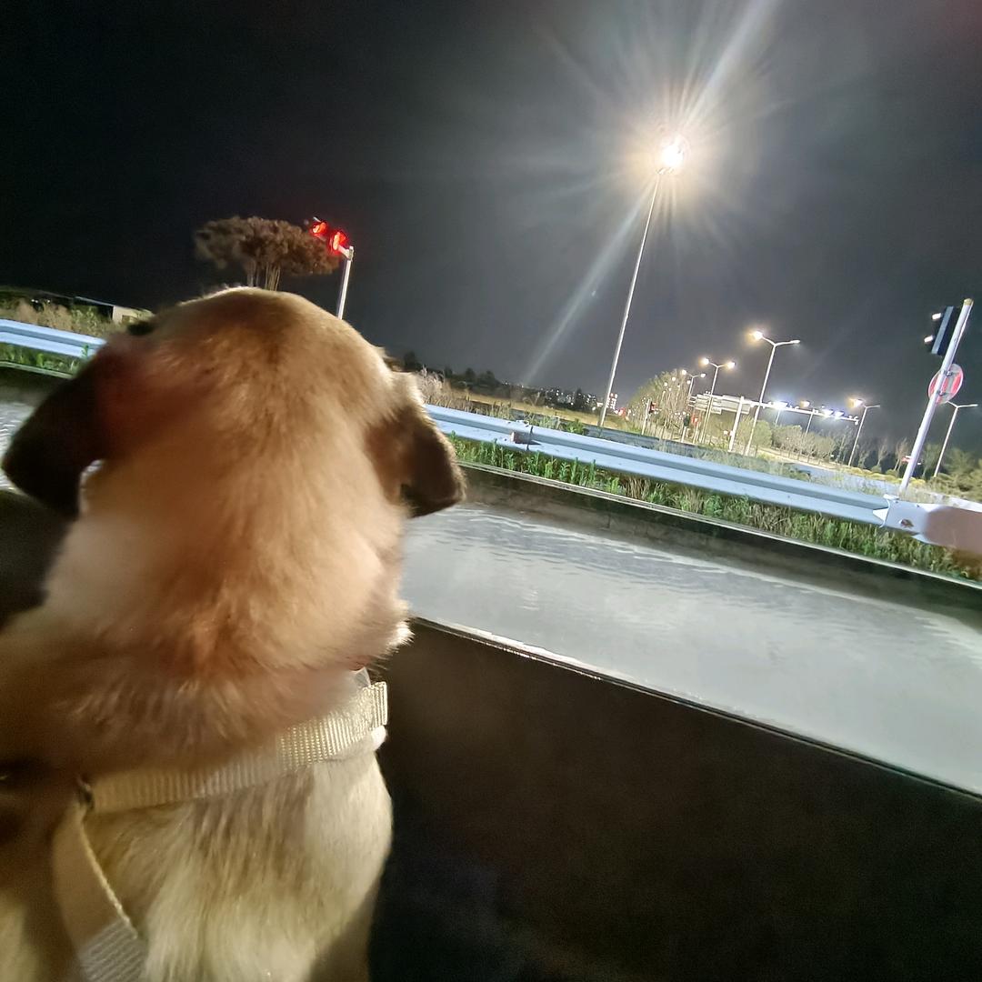 馒头姐姐