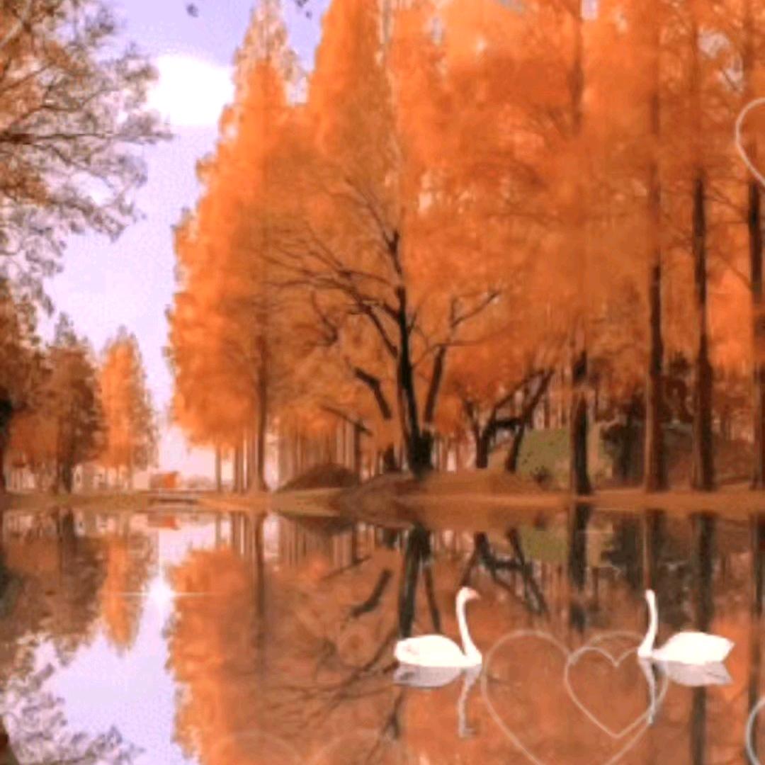 不忘初心牢记使命