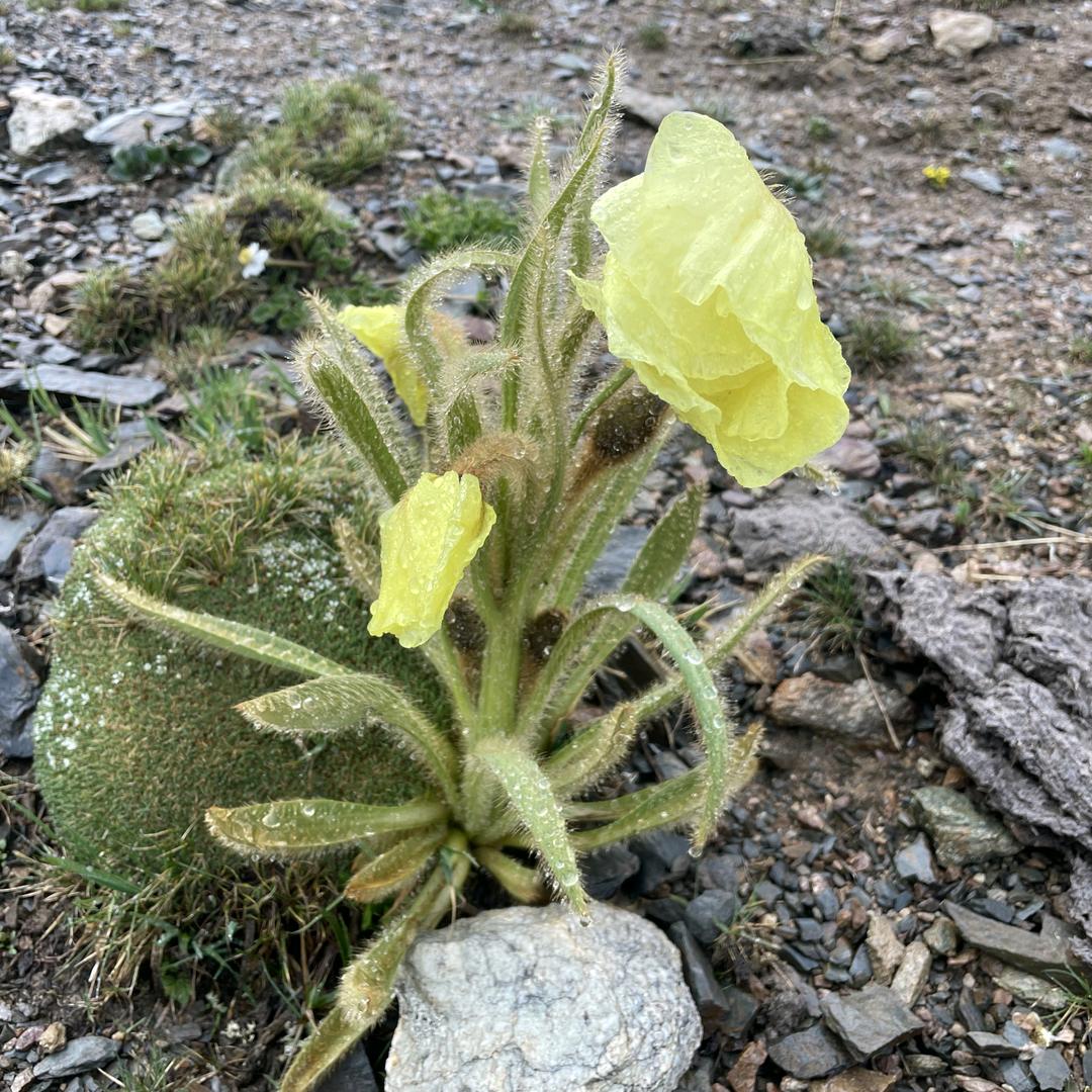 枣山万贯营业厅