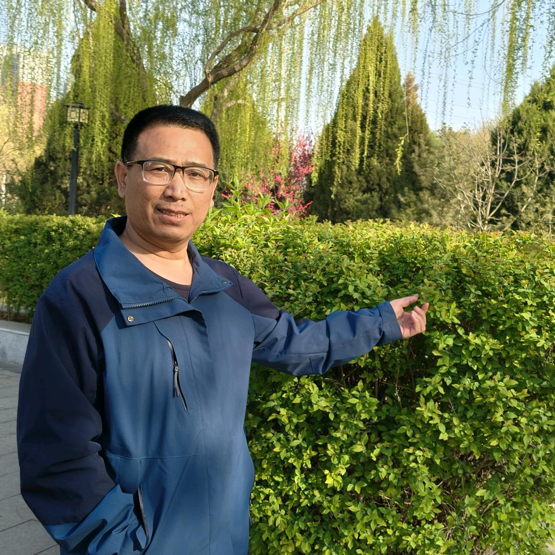粮食行情伏哥
