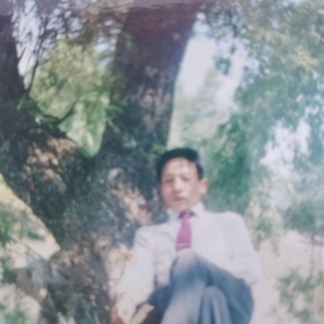前程似锦