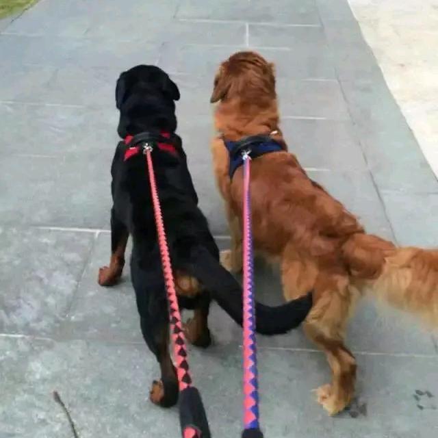 命里有时终须有