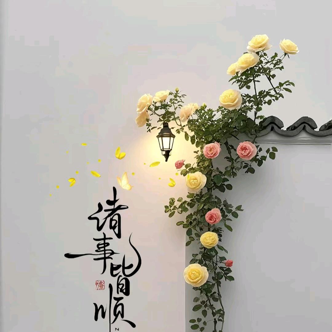 Miss  王