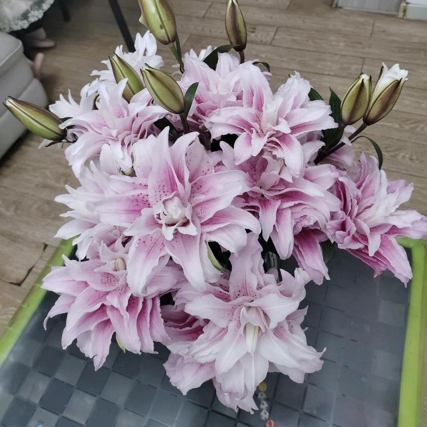 盘锦小罗鲜花团购，一支也是批发价