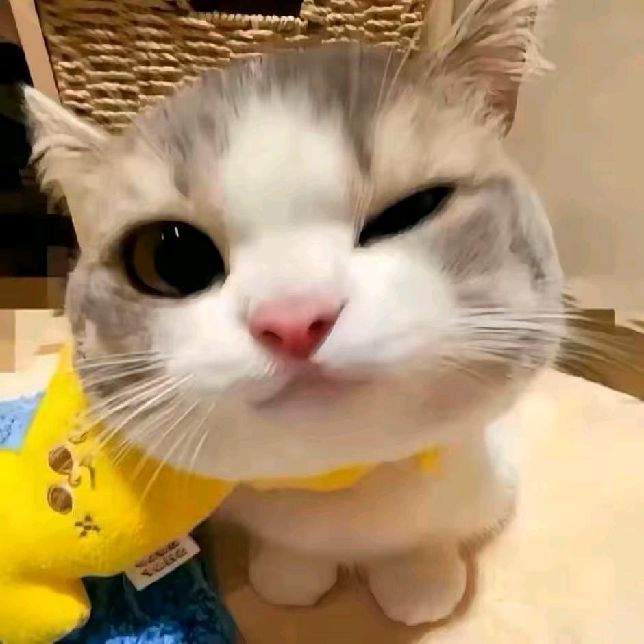 @💞封༽ཽ心²º²⁵所༼ཽ爱༉ღ★💞