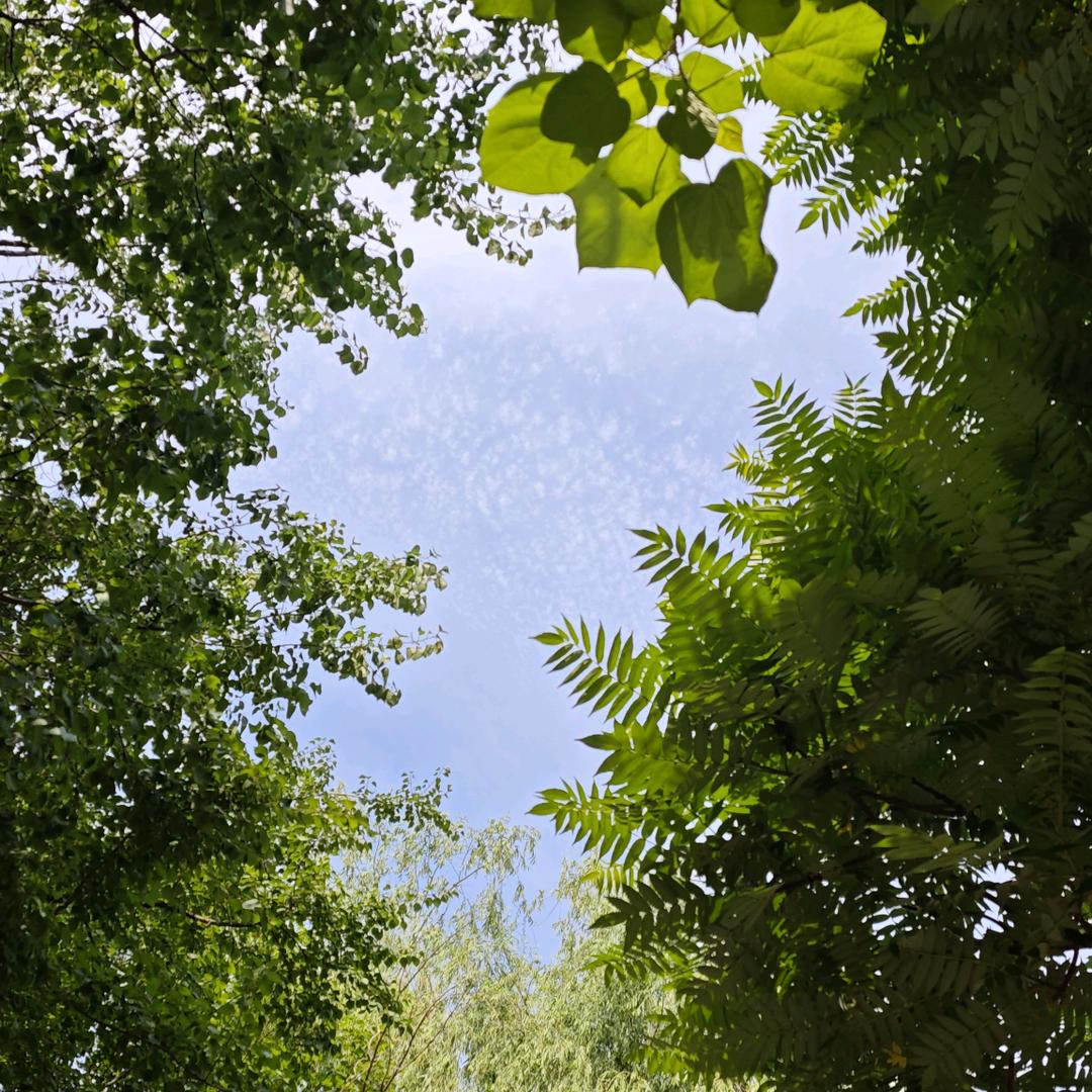 广寒宫的小仙女