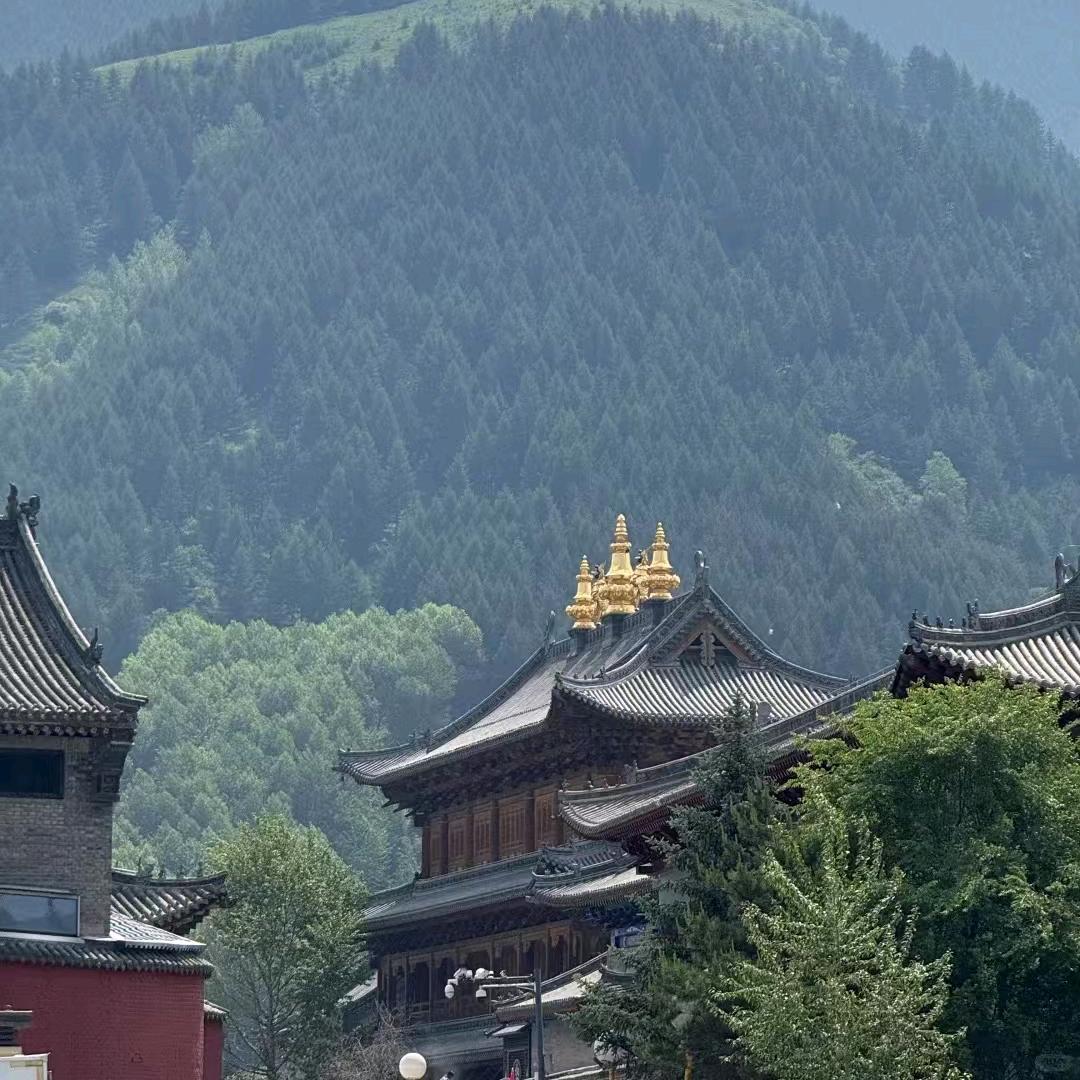 志存高远