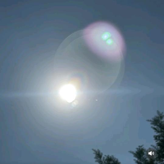 冷默