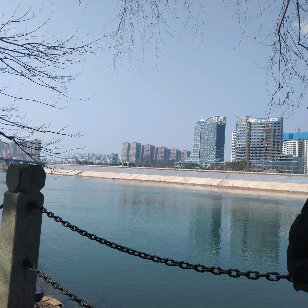 浅浅余生