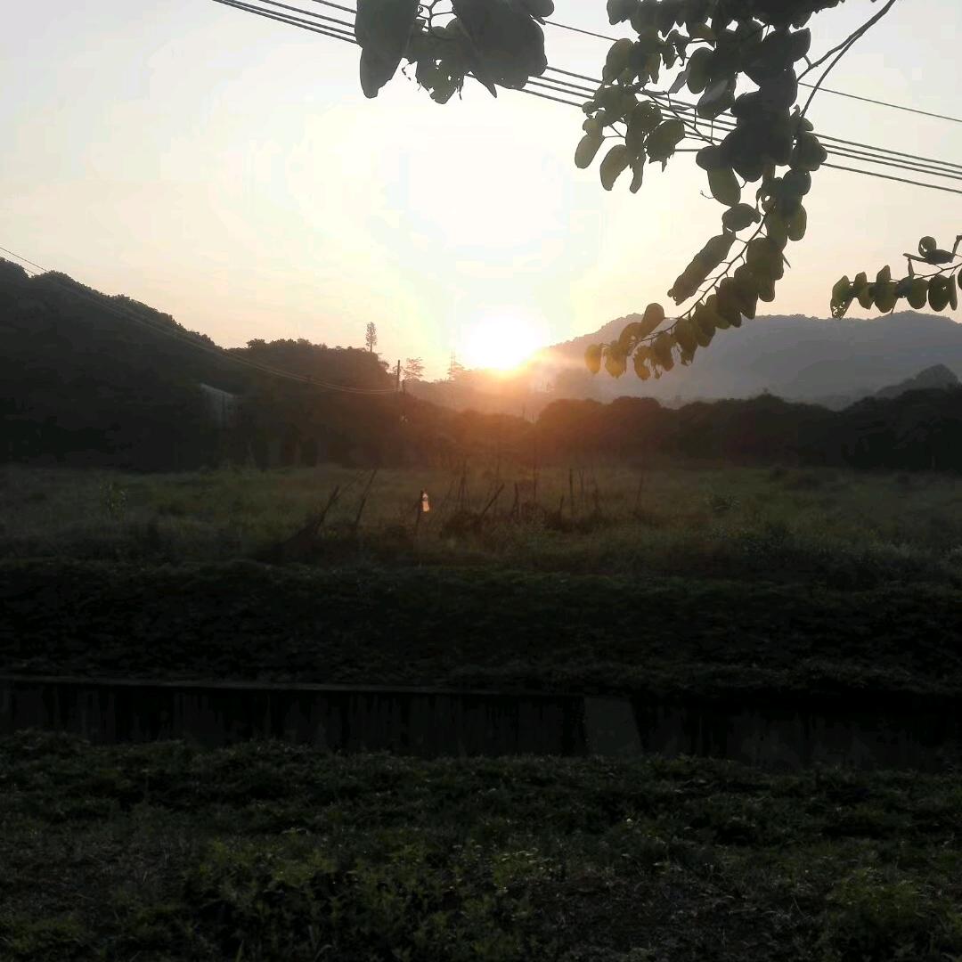 镜花水月