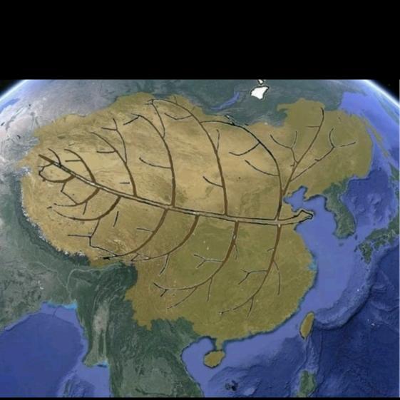 水瓢