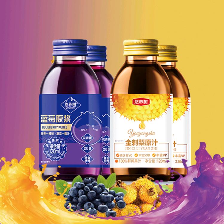 贵州工厂蓝莓原浆刺梨原浆代理人（乐乐姐）