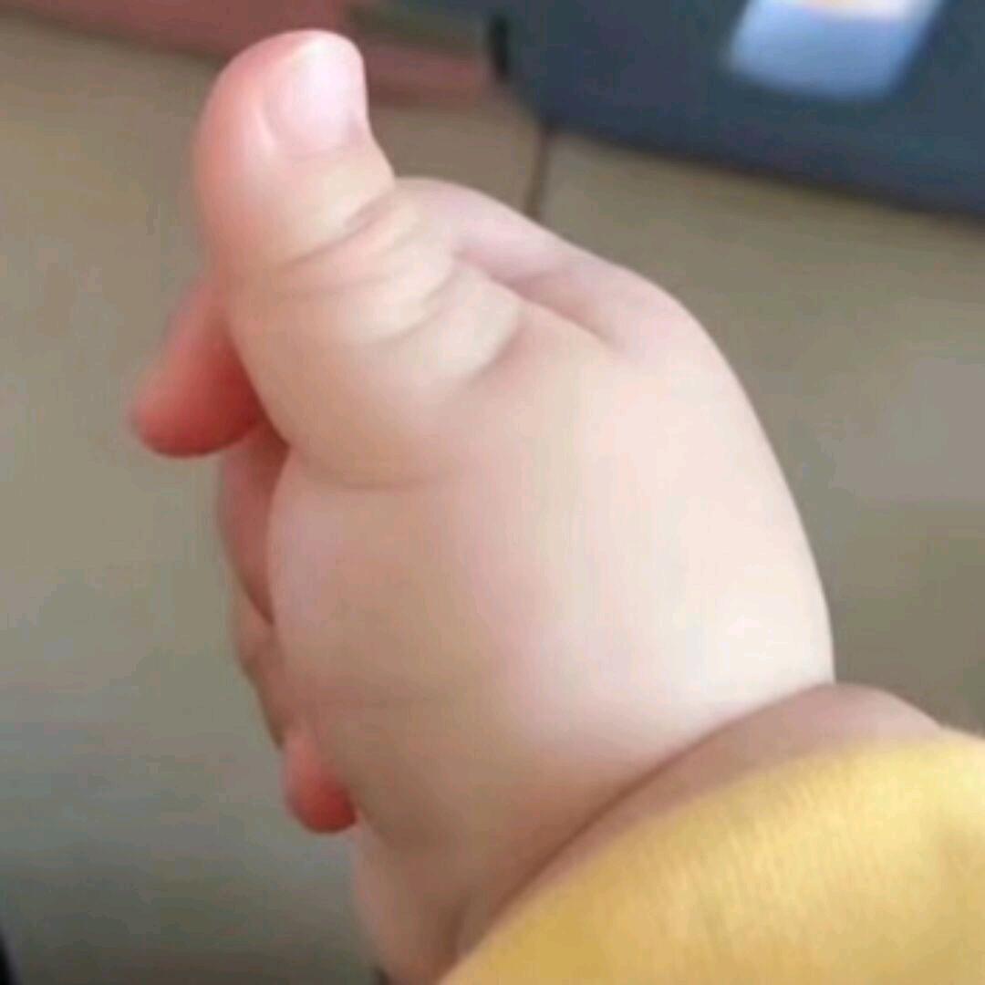 姚紫滕
