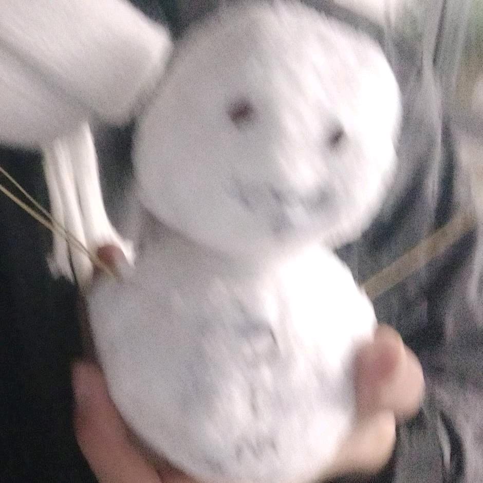 小黄帝
