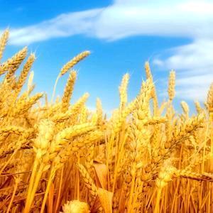 静思有我🍃🍃