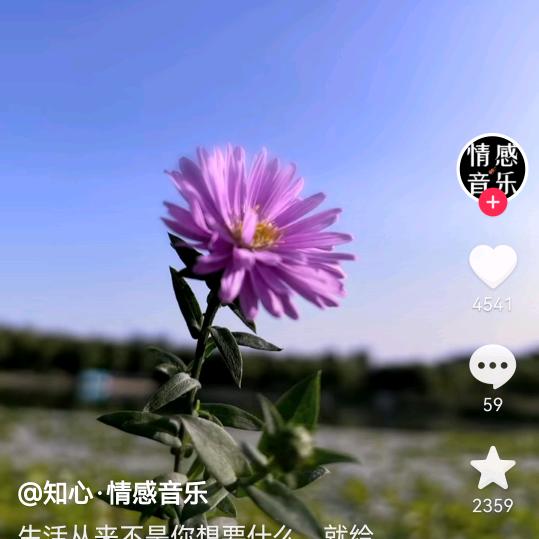小燕子