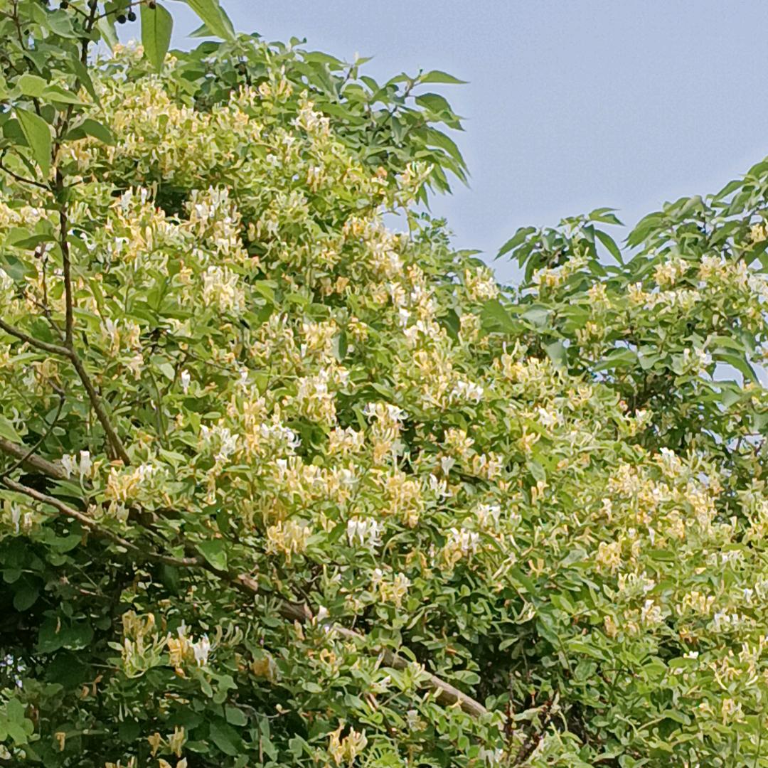 👩‍❤‍👨👨‍👩‍👦‍👦